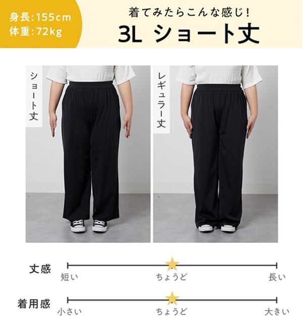Viola e Viola（ヴィオラ エ ヴィオラ）の「【接触冷感】さらテロ楽のびストレートパンツ【選べる２丈】（フルレングスパンツ）」｜詳細画像