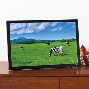 「録画もできるポータブル液晶テレビ（テレビ・オーディオ・カメラ機器）」｜1