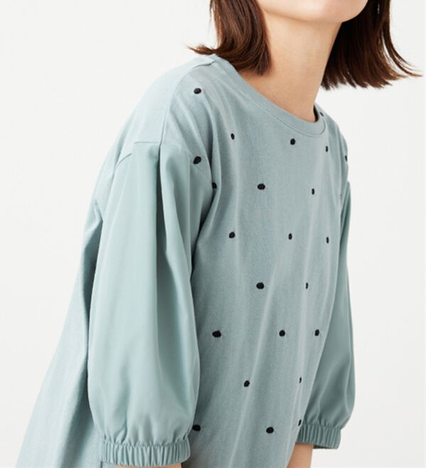 BELLUNA（ベルーナ）の「ドット刺しゅうデザイン袖切替プルオーバー（カットソー）」｜詳細画像