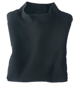 BELLUNA（ベルーナ）の「吸湿発熱ハイネックプルオーバー（カットソー）」｜黒