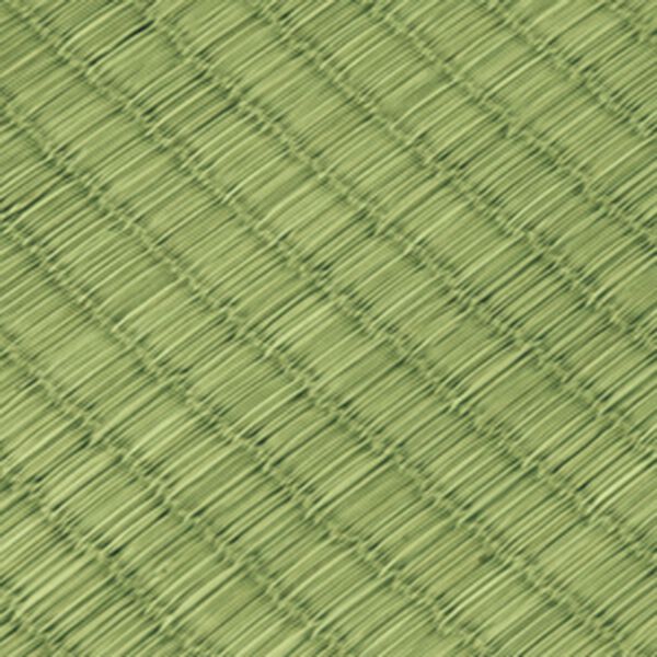 「畳タイプ抗菌い草上敷（い草ラグ）」｜詳細画像