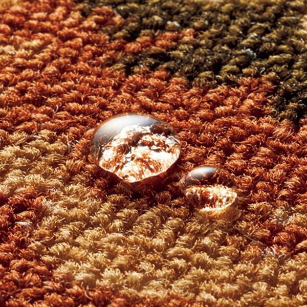 「絵羽柄はっ水加工カーペット（カーペット）」｜詳細画像