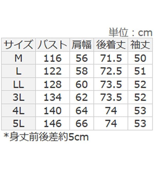 Viola e Viola（ヴィオラ エ ヴィオラ）の「【シワになりにくい】ゆったりストライプビックシャツ（シャツ）」｜詳細画像