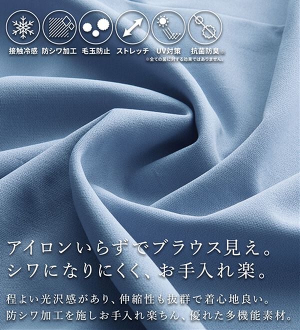 BELLUNA（ベルーナ）の「ジョーゼット素材タック使いＴブラウス（ブラウス）」｜詳細画像