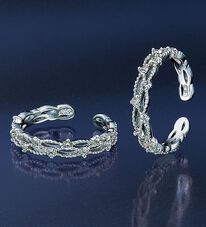 BELLUNA（ベルーナ）の「フリーサイズリング＆イヤーカフ２ＷＡＹセット（リング）」