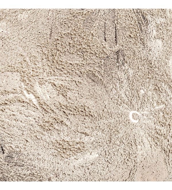 ルフラン（ルフラン）の「涼しげメッシュで快適！花柄レースアップシューズ（フラットシューズ）」｜詳細画像