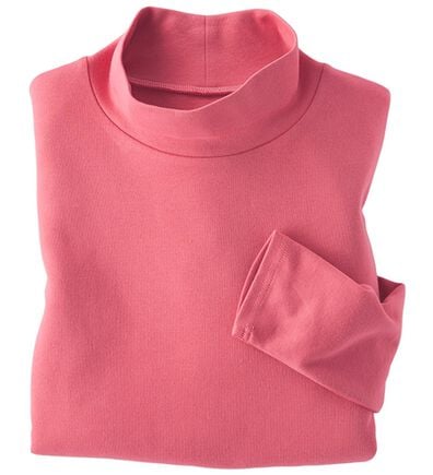 BELLUNA（ベルーナ）の「吸湿発熱ハイネックプルオーバー（カットソー）」