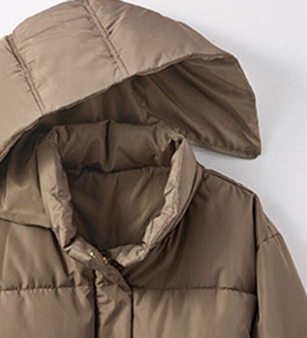 BELLUNA（ベルーナ）の「軽やか仕立て中わたショート丈ジャケット（その他ジャケット）」｜詳細画像