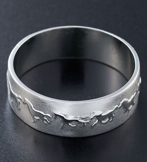 「うまくいくリング（メンズリング）」｜1