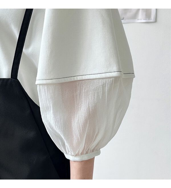 GeeRA（ジーラ）の「袖シアー切替ランタンスリーブトップス（カットソー）」｜詳細画像