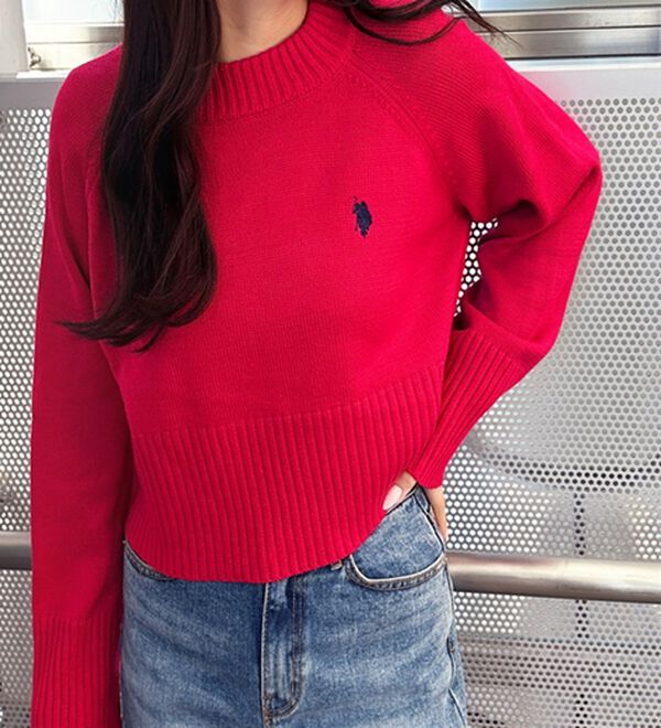 GeeRA（ジーラ）の「【ＵＳ．ＰＯＬＯ　ＡＳＳＮ】ショート丈ニット（ニット・セーター）」｜詳細画像