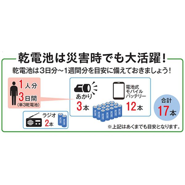 「三菱　アルカリ乾電池　お買得セット（テレビ・オーディオ・カメラ機器）」｜詳細画像