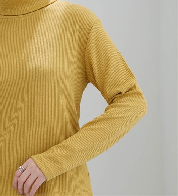 BELLUNA（ベルーナ）の「まるでニット！サラッと軽いリブハイネックプルオーバー（カットソー）」｜詳細画像