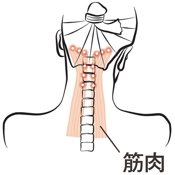 「首のカーブにフィットする整体枕（枕）」｜詳細画像