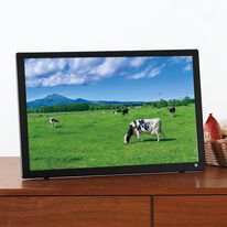 「録画もできるポータブル液晶テレビ（テレビ・オーディオ・カメラ機器）」