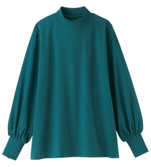 BELLUNA（ベルーナ）の「艶やかコットン１００％プルオーバー（カットソー）」｜ターコイズ