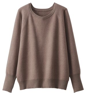 BELLUNA（ベルーナ）の「トレーナー感覚！きれいめカジュアルさんのためのニットトレーナー（ニット・セーター）」｜モカ