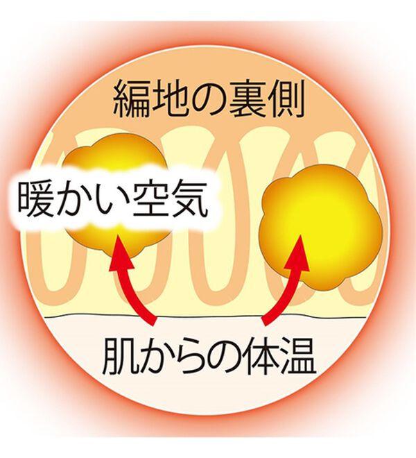 ルフラン（ルフラン）の「ぬくもりのテンセル（ＴＭ）繊維&times;ウールプルオーバー（カットソー）」｜詳細画像