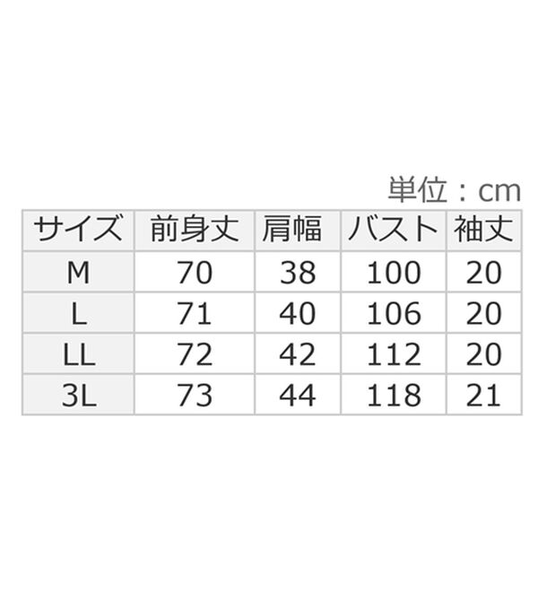 Viola e Viola（ヴィオラ エ ヴィオラ）の「綿１００％袖タックチュニック（チュニック）」｜詳細画像