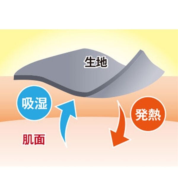 BELLUNA（ベルーナ）の「【快適Ｌａｂ．】ふんわりピーチ起毛切替チュニック（チュニック）」｜詳細画像