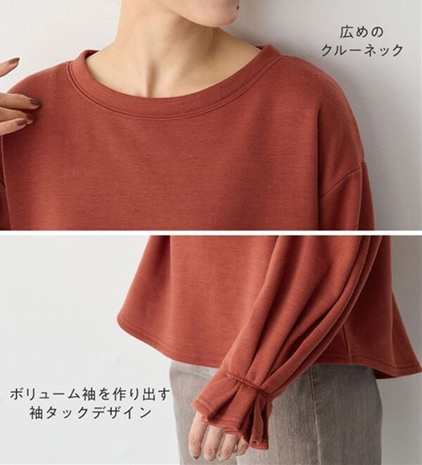 Viola e Viola（ヴィオラ エ ヴィオラ）の「裏ファー袖タックプルオーバー（カットソー）」｜詳細画像