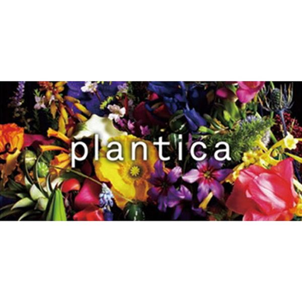 BELLUNA（ベルーナ）の「ｐｌａｎｔｉｃａ　シャツチュニック（シャツ）」｜詳細画像