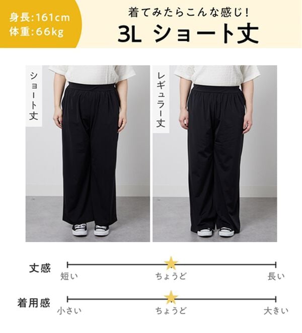 Viola e Viola（ヴィオラ エ ヴィオラ）の「【接触冷感】さらテロ楽のびストレートパンツ【選べる２丈】（フルレングスパンツ）」｜詳細画像
