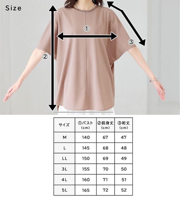 BELLUNA（ベルーナ）の「【接触冷感】Ｔシャツ感覚なのにきちんとブラウス見え！半袖プルオーバー（カットソー）」｜詳細画像