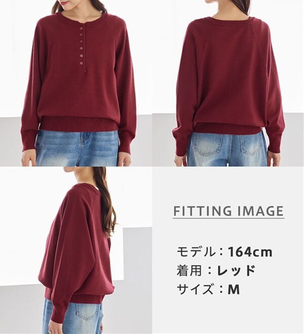 Viola e Viola（ヴィオラ エ ヴィオラ）の「【ゆったり着られる】洗える！ヘンリーネックニット（ニット・セーター）」｜詳細画像