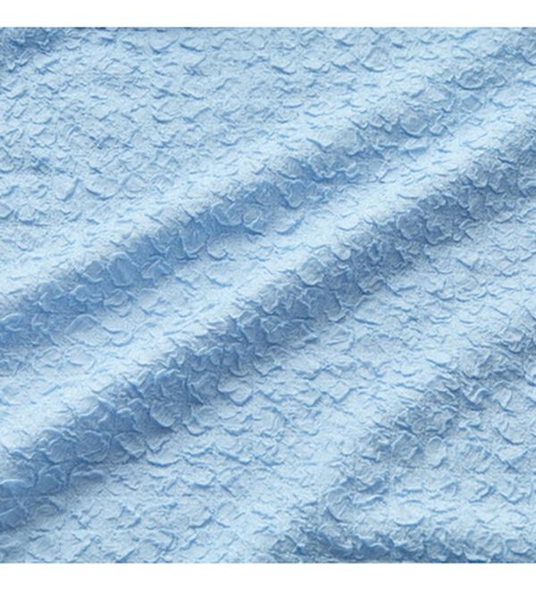 GeeRA（ジーラ）の「ふくれジャカードテクスチャーブラウス（ブラウス）」｜詳細画像