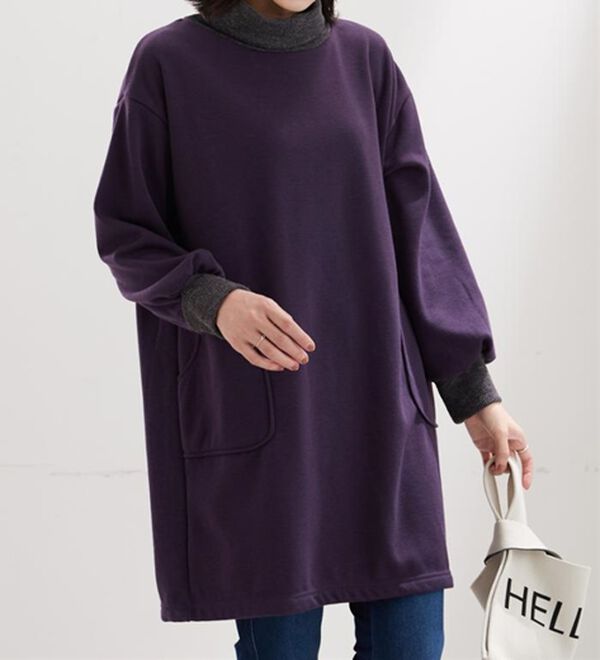BELLUNA（ベルーナ）の「オフタートルネック配色リブ切替チュニック（チュニック）」｜詳細画像