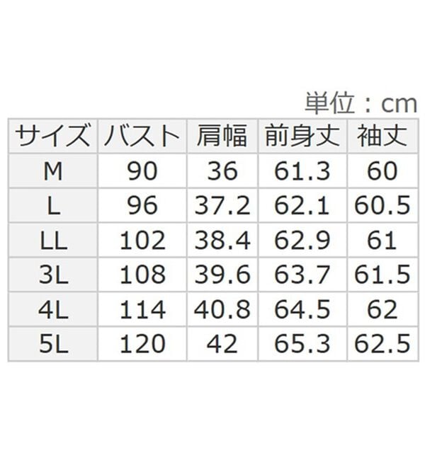 BELLUNA（ベルーナ）の「【重ね着インナー】シアー素材ハイネックインナープルオーバー（カットソー）」｜詳細画像