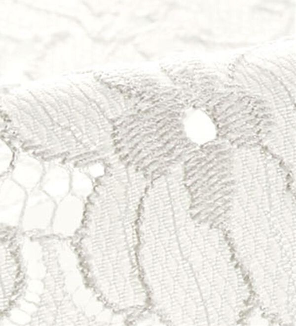 BELLUNA（ベルーナ）の「シアーボーダー素材レース切替ブラウス（ブラウス）」｜詳細画像