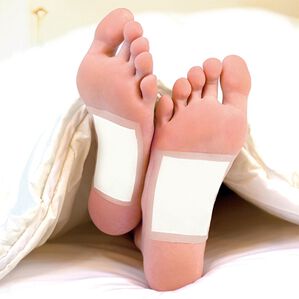 「いきいき樹液シートよもぎ（３０枚入）（その他日用品・趣味雑貨）」｜1