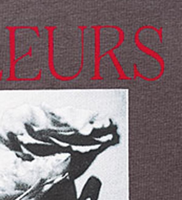 BELLUNA（ベルーナ）の「ヒンヤリ！綿１００％大人フォトプリントＴシャツ（Tシャツ）」｜詳細画像