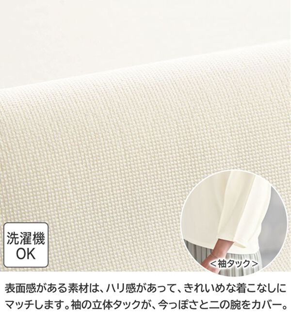 BELLUNA（ベルーナ）の「袖ボリュームタックプルオーバー（カットソー）」｜詳細画像