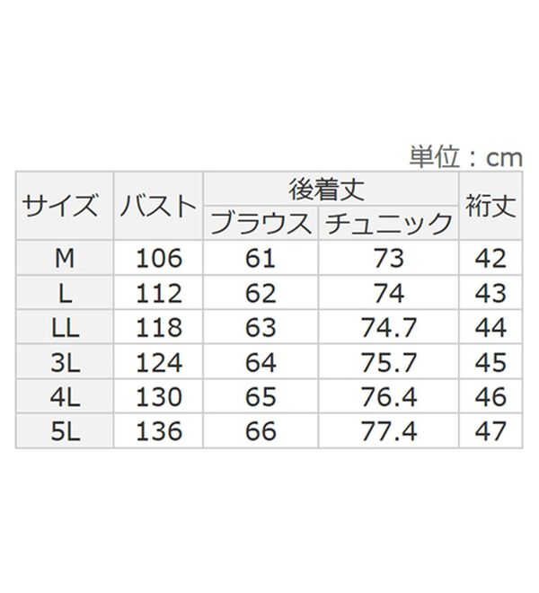 Viola e Viola（ヴィオラ エ ヴィオラ）の「【選べる２丈】さらっと涼感フレアスリーブブラウス（ブラウス）」｜詳細画像