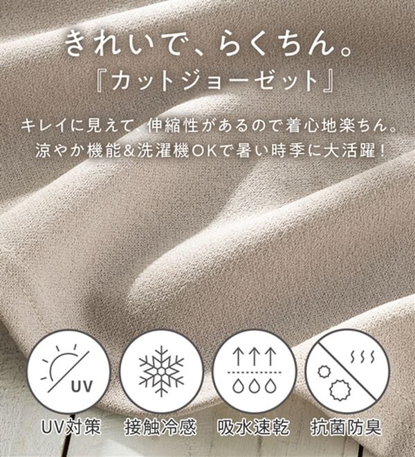 Viola e Viola（ヴィオラ エ ヴィオラ）の「【４つの機能付】ひんやり！すっきりＶネックＴシャツブラウス（カットソー）」｜詳細画像