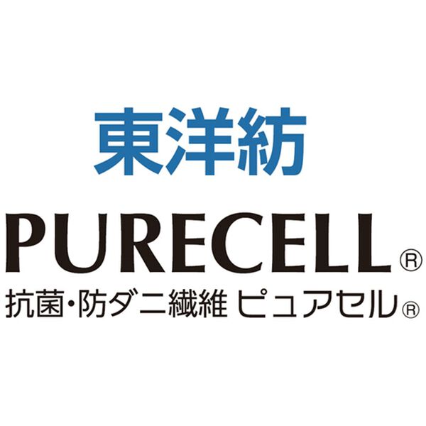 「すのこ型吸放湿・消臭・防ダニマットエアジョブ（Ｒ）（マットレス）」｜詳細画像