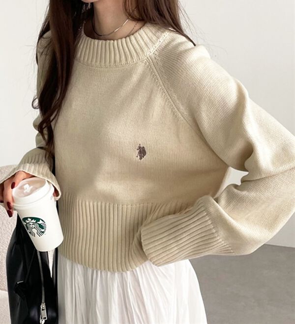 GeeRA（ジーラ）の「【ＵＳ．ＰＯＬＯ　ＡＳＳＮ】ショート丈ニット（ニット・セーター）」｜詳細画像