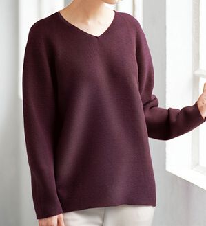 BELLUNA（ベルーナ）の「＜日本製＞ホールガーメントＶネックプルオーバー（ニット・セーター）」｜詳細画像