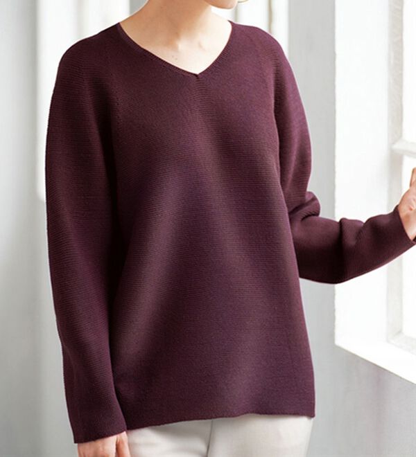 BELLUNA（ベルーナ）の「＜日本製＞ホールガーメントＶネックプルオーバー（ニット・セーター）」｜詳細画像
