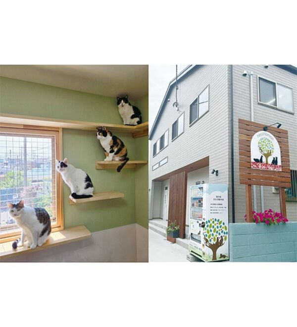 ルフラン（ルフラン）の「【３本組】「猫の毛が落ちやすい」裏起毛パンツ（フルレングスパンツ）」｜詳細画像