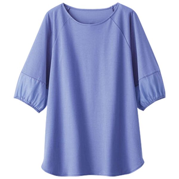 BELLUNA（ベルーナ）の「袖シアー切替デザインプルオーバー（カットソー）」｜詳細画像