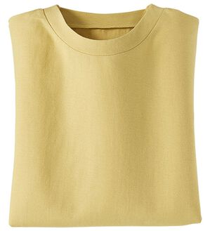 BELLUNA（ベルーナ）の「綿１００％抗菌防臭汗ジミ対策プルオーバー（カットソー）」｜シトラス