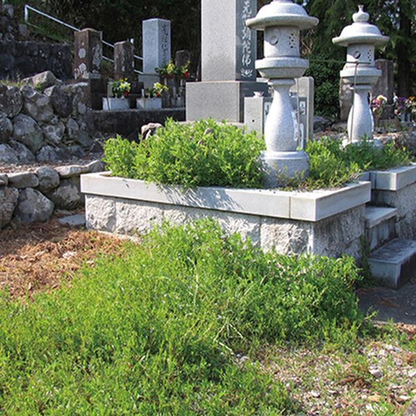 「特許取得！天然成分植物性除草剤（その他日用品）」｜詳細画像