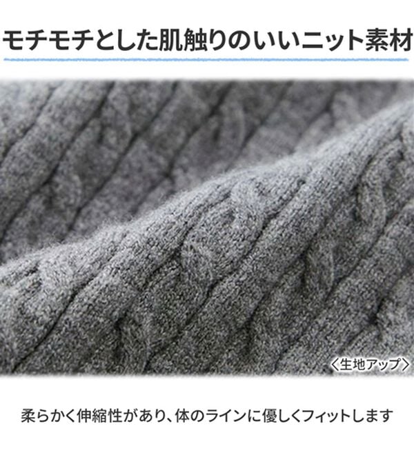 GeeRA（ジーラ）の「ミニケーブルヘンリーネックリブニット（ニット・セーター）」｜詳細画像