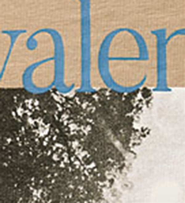 BELLUNA（ベルーナ）の「ヒンヤリ！綿１００％大人フォトプリントＴシャツ（Tシャツ）」｜詳細画像