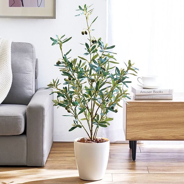 お手入れ不要フェイクグリーン＜オリーブ＞ - ベルーナ【公式】