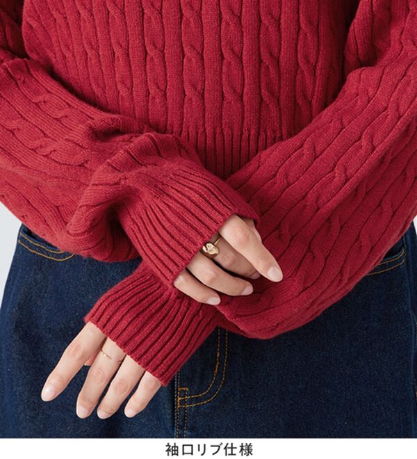 Viola e Viola（ヴィオラ エ ヴィオラ）の「【ビバリーヒルズポロクラブ】ケーブル柄ショートニット（ニット・セーター）」｜詳細画像